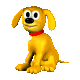 Rover the XP search dog